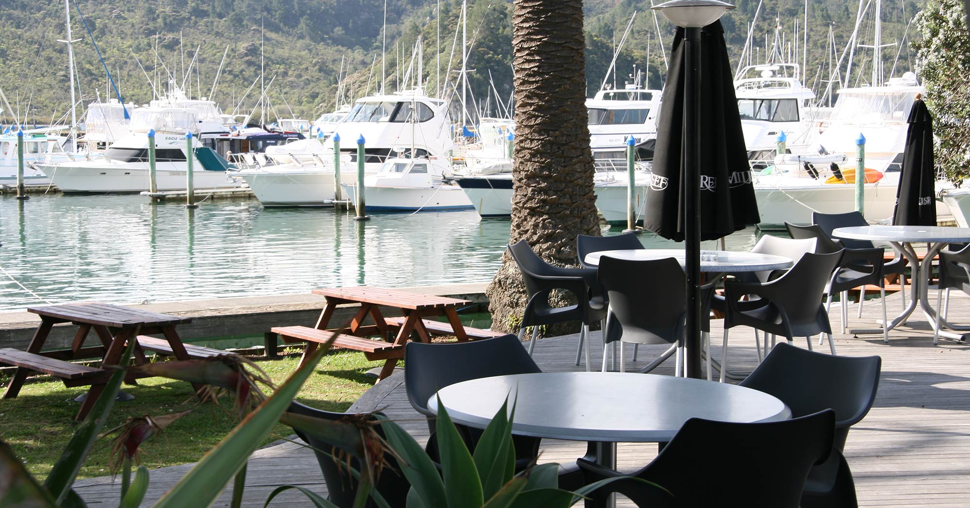 Get out on the pristine waters of Mercury Bay for fun rides, kayaking, boat charters, diving and fishing adventures.