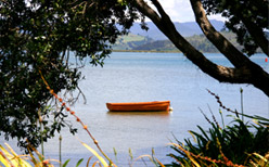 Wander the Coromandel Ranges, go fishing from one of the many beaches and rocky outcrops and enjoy the beautiful coastal landscape.