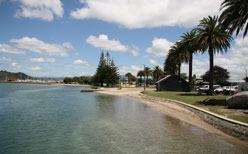 View from the Wharf in Whitianga