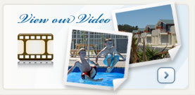 Click here to watch our Video